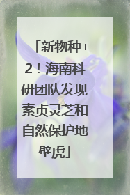新物种+2！海南科研团队发现素贞灵芝和自然保护地壁虎
